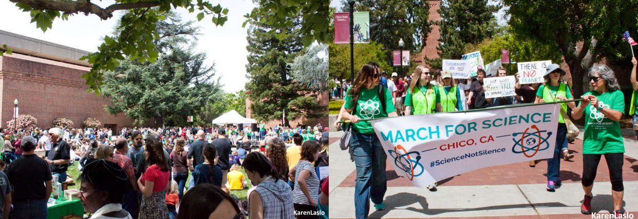 March for Science in Chico attracts crowd