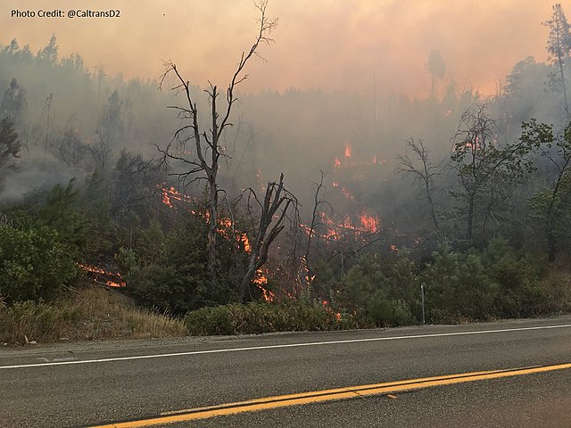 Carr Fire driven by changes in climate