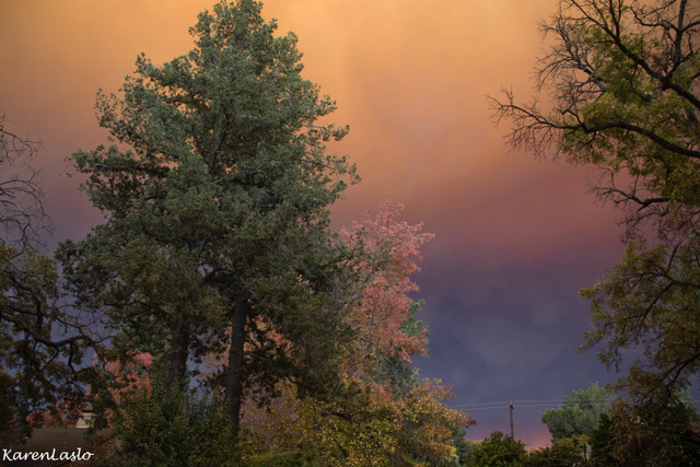 McKibben: Our "spiral of trouble" will deepen