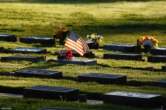 Memorial Day: Losses both human and non-human