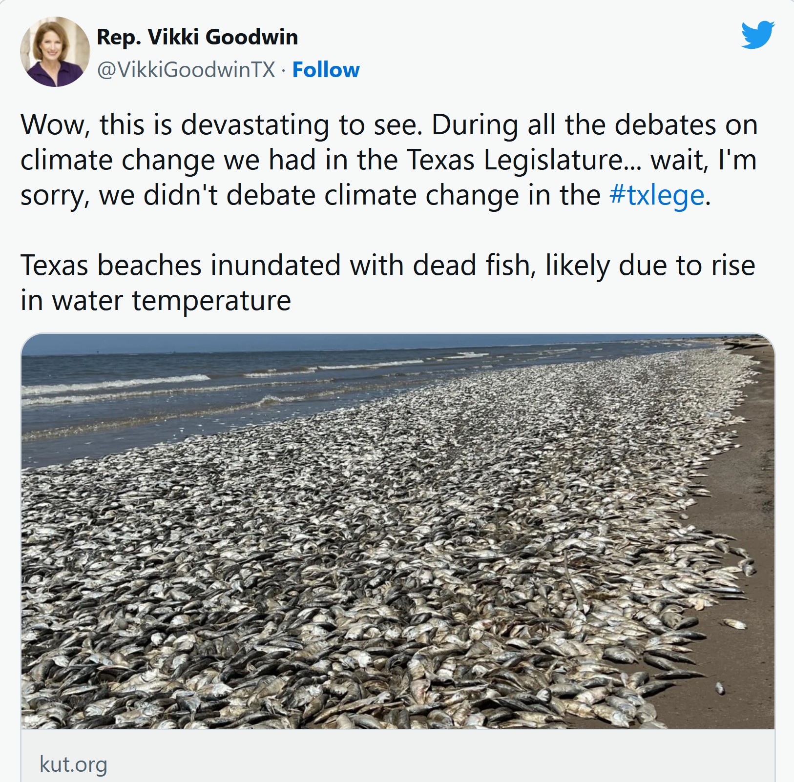 Facing climate grief during terrible week