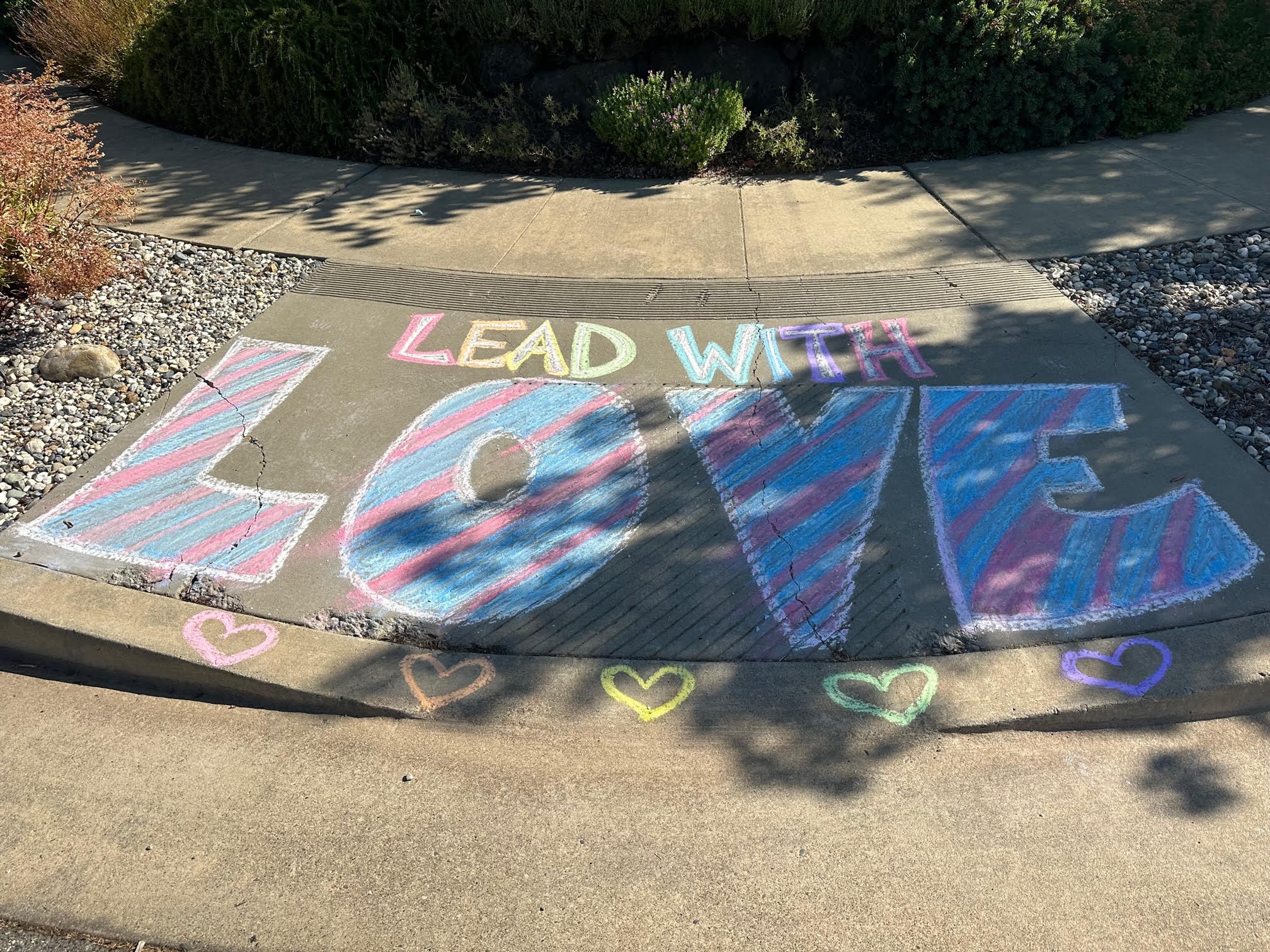 School counselor speaks out on gender identity case