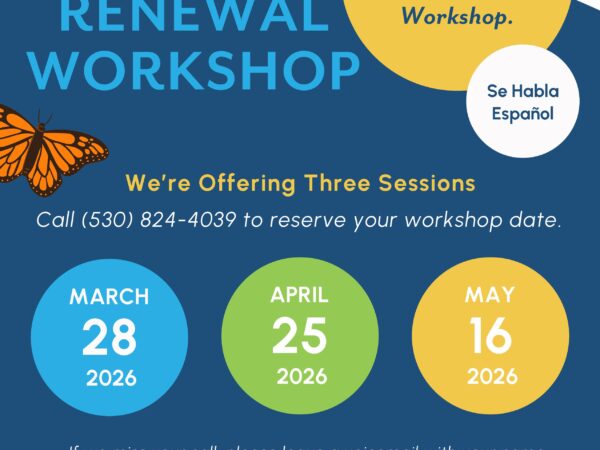 Staying safe as an immigrant, observer or protester