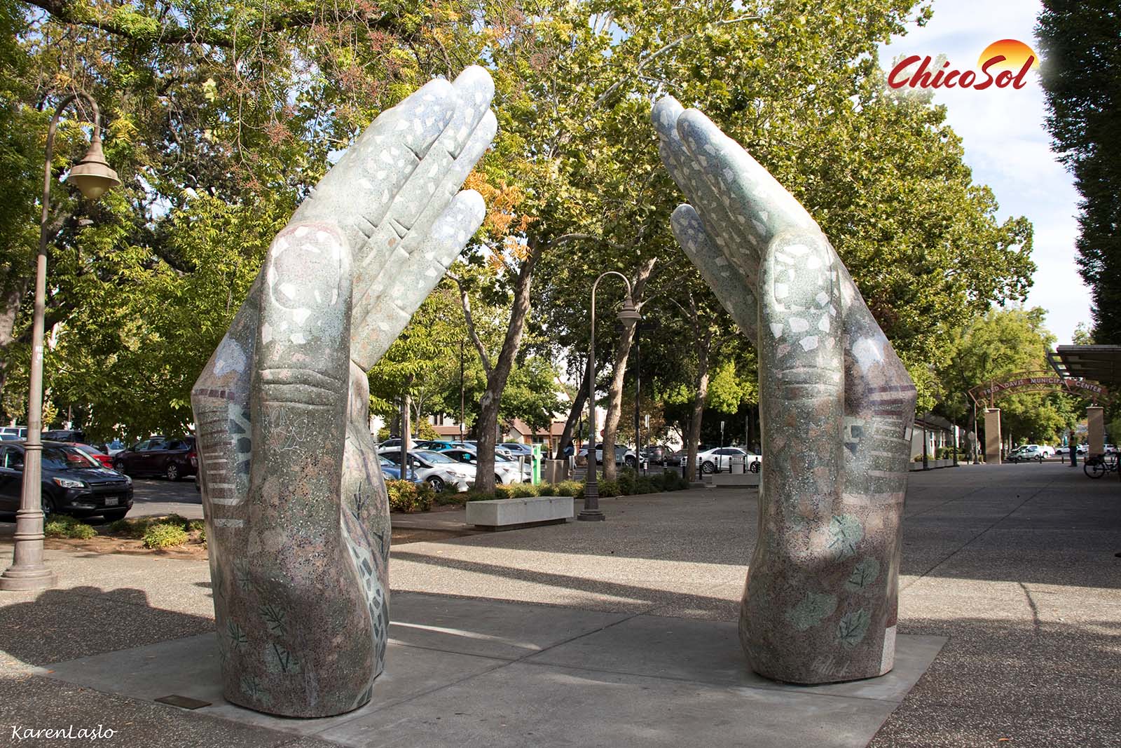 Sunny's Podcast: March 3-11, 2026