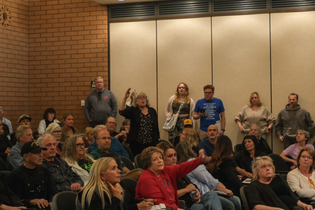 Some business owners support downtown redesign