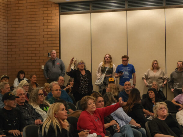 Some business owners support downtown redesign