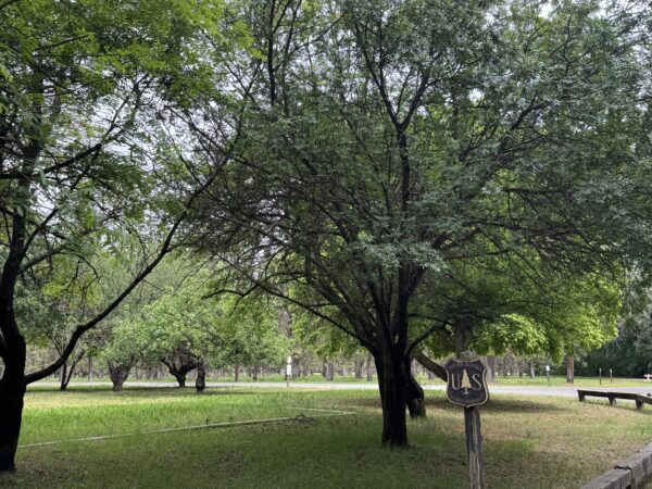 Questions persist about the future of Forest Service research sites 