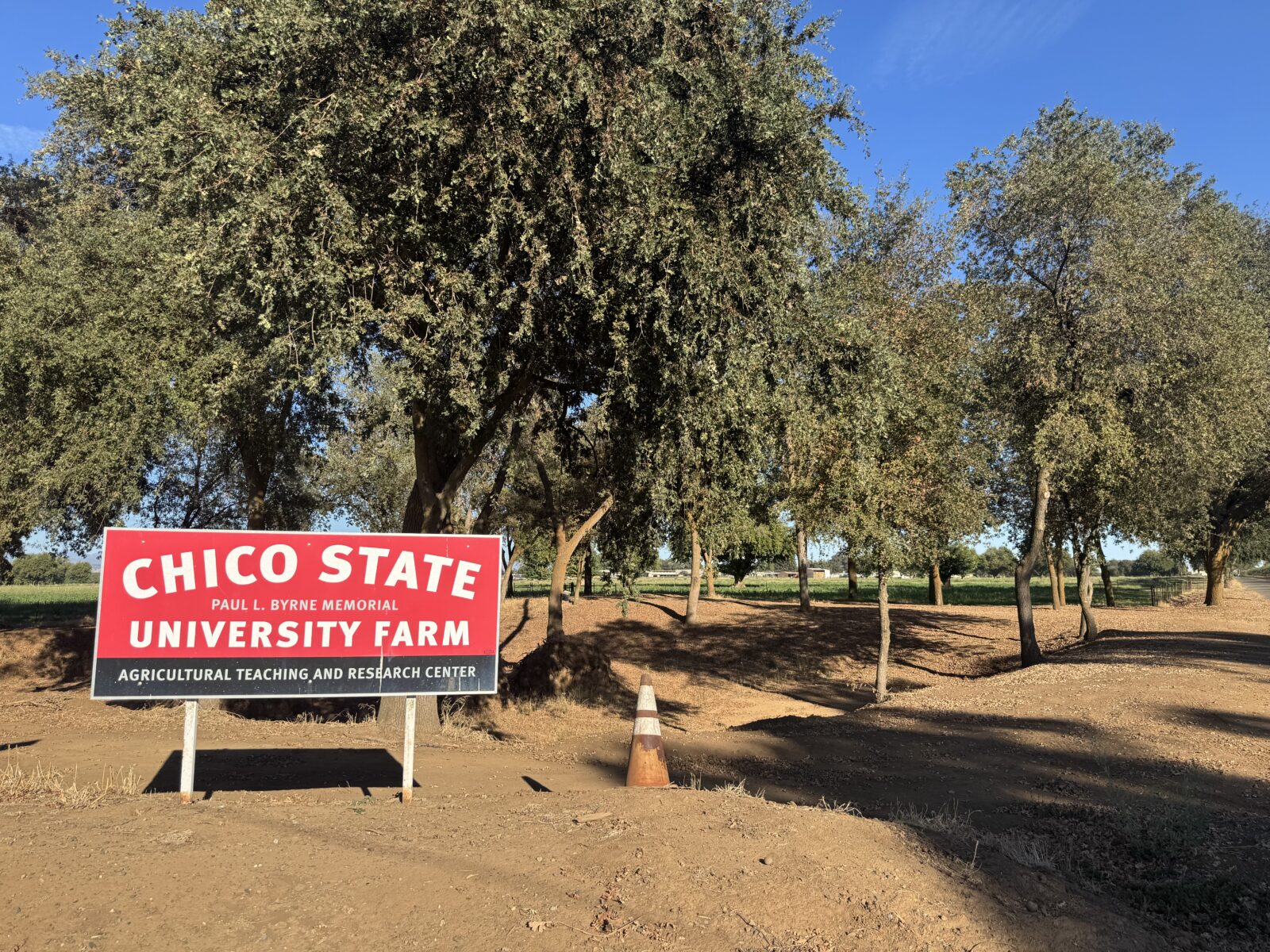 Ousted dean: Chico State administrators failed to address discrimination allegations