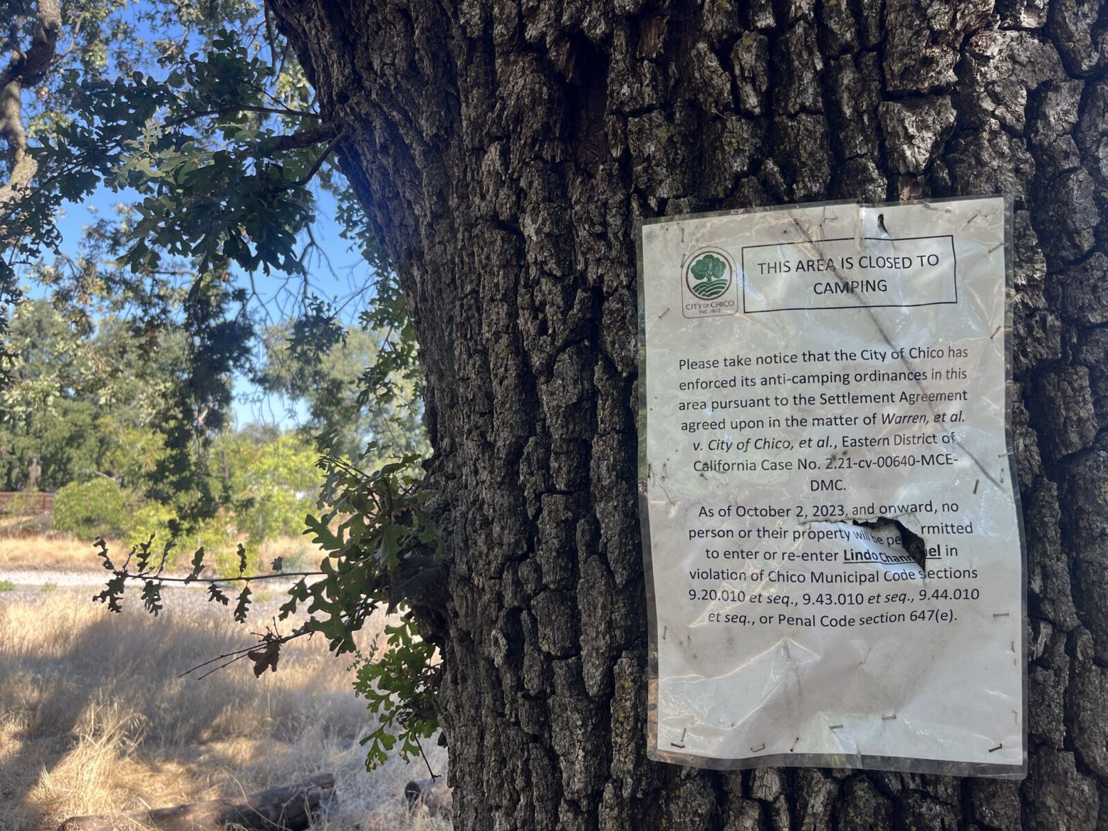Emergency declaration could expedite sweeps