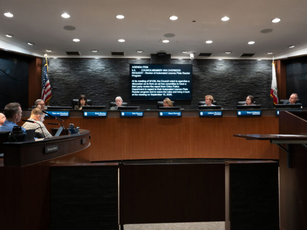 Council delays action on proposed ad hoc oversight committee