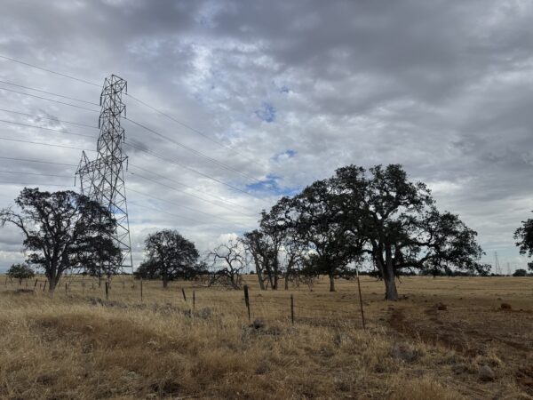 Solar farm tentatively planned for Skyway