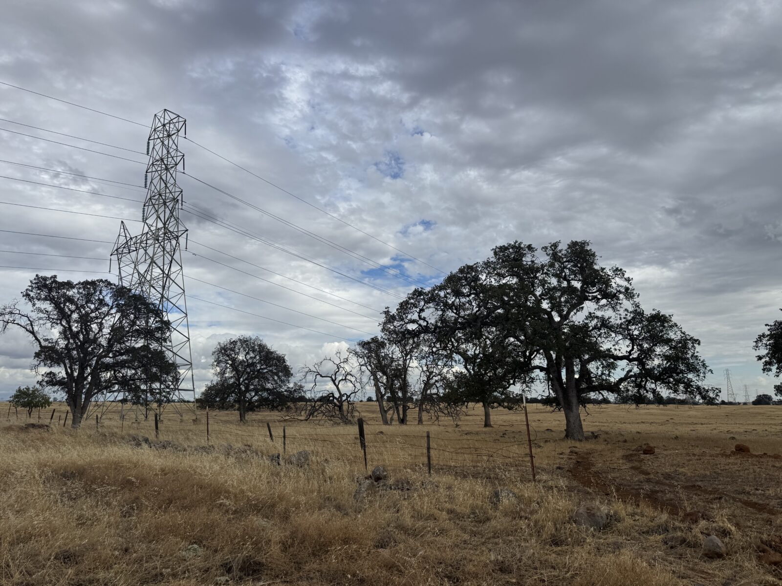Solar farm tentatively planned for Skyway