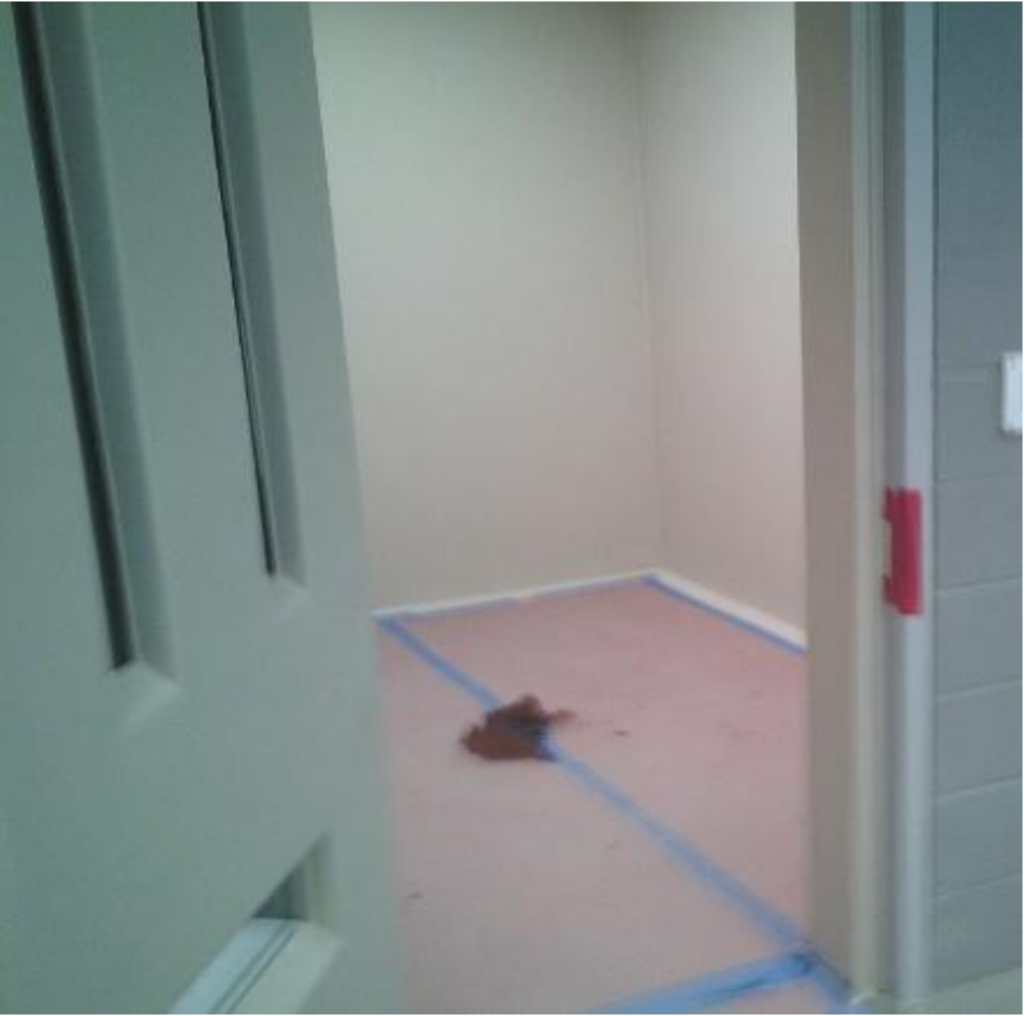 Neglect Def Neglect and tragedy in Butte County Jail - ChicoSol News