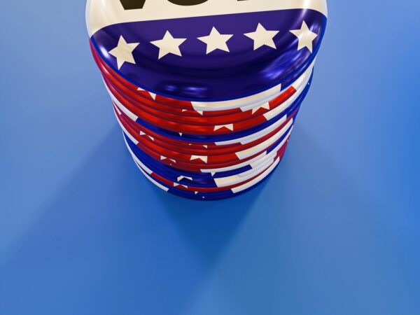 "Mr. Danlay" investigates alleged "voter fraud"